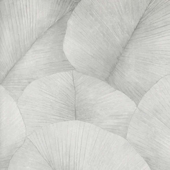 Grey Lotus Leaves