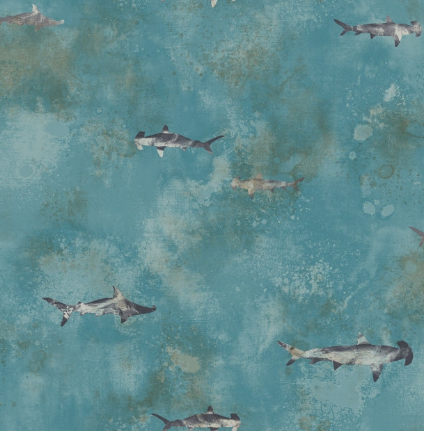 Flying Sharks